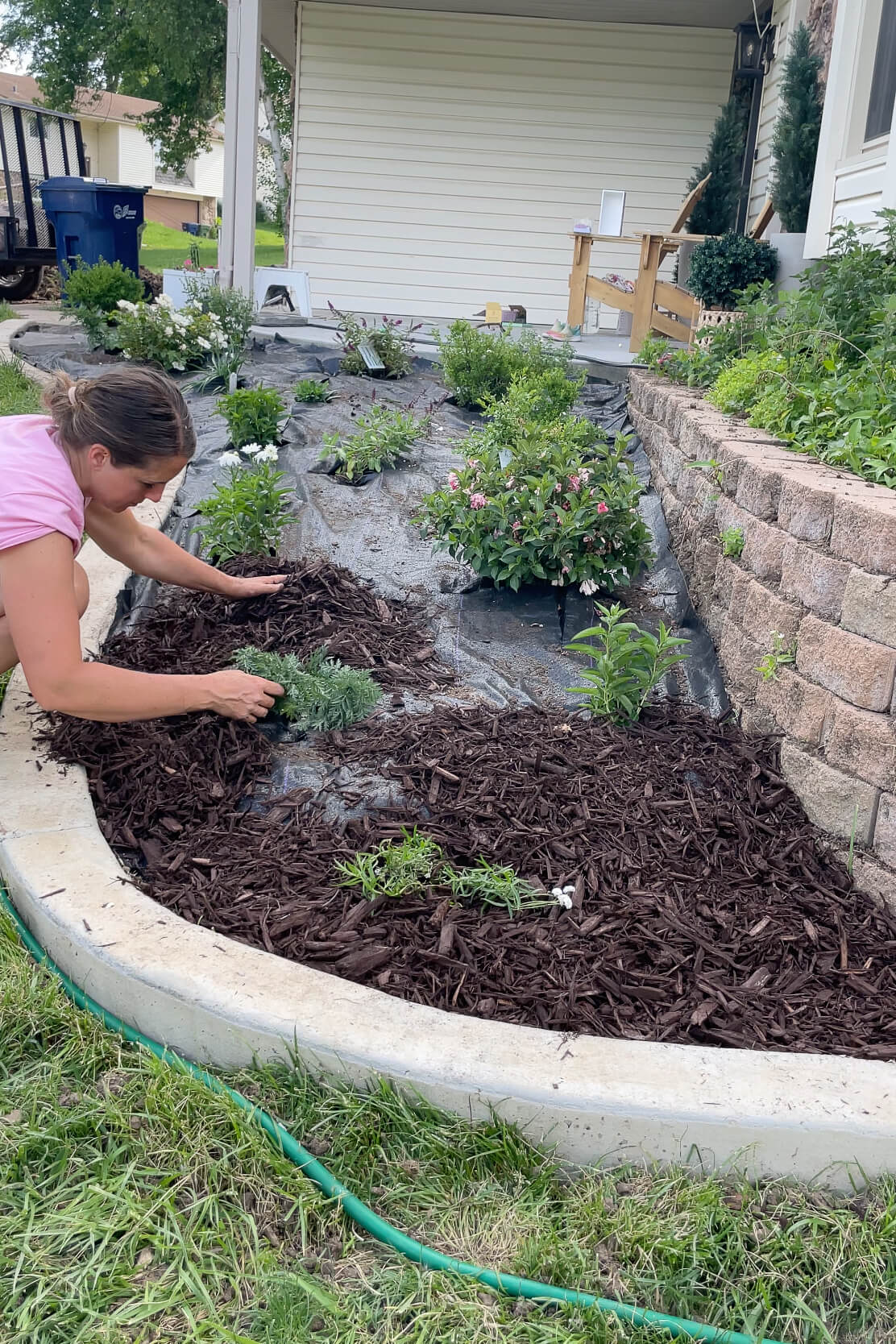 DIY landscaping for a low-maintenance, budget-friendly yard.